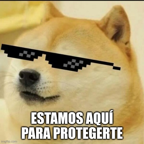 Meme de un perro Doge con gafas de sol pixeladas y el texto 'Estamos aquí para protegerte'.