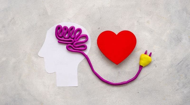 Neurociencia y CX: Cuando la Intuición se Encuentra con la Ciencia